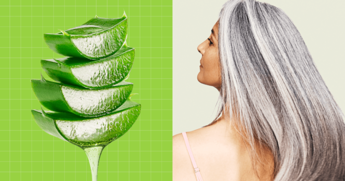 How to Use Aloe Vera for Hair Growth and Thickness?