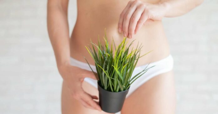 How to Stop Pubic Hair from Growing Long-lastingly at Home