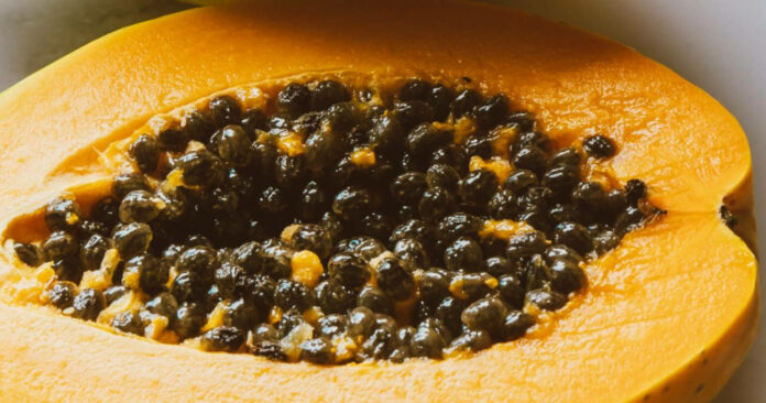 Papaya Seeds: Benefits, Uses, and Side Effects