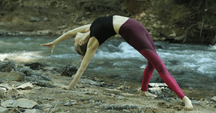 Alo Yoga vs. Lululemon: Which is Better for You?