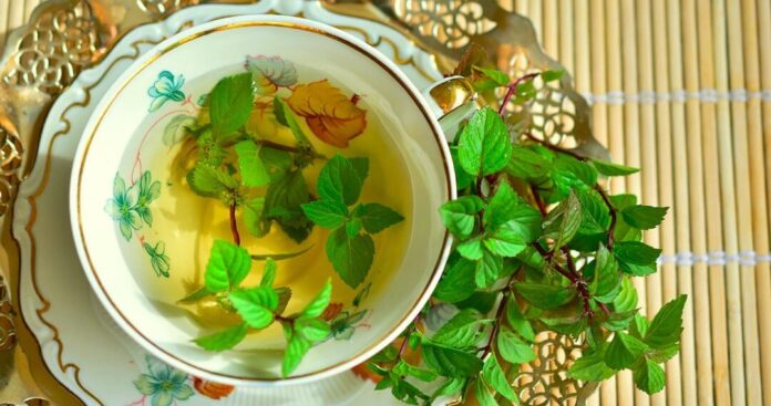 Benefits of Spearmint Tea for Skin, PCOS, Hair and More