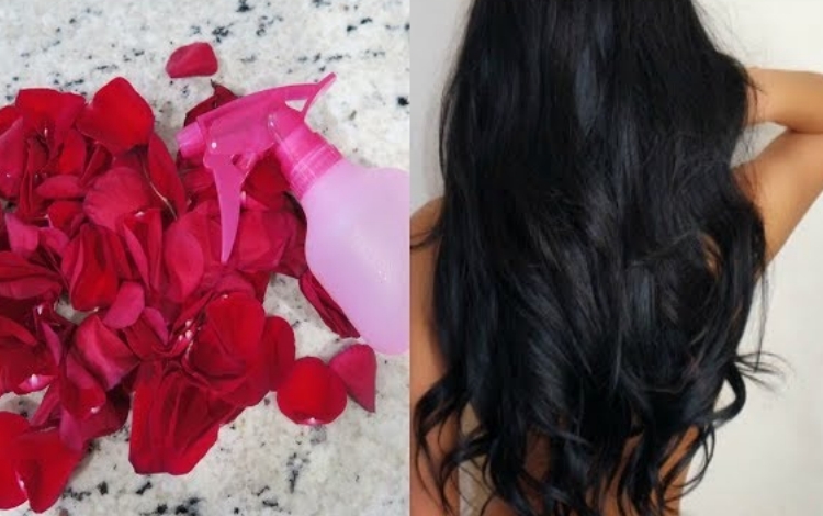 Benefits of Rose Water for Hair