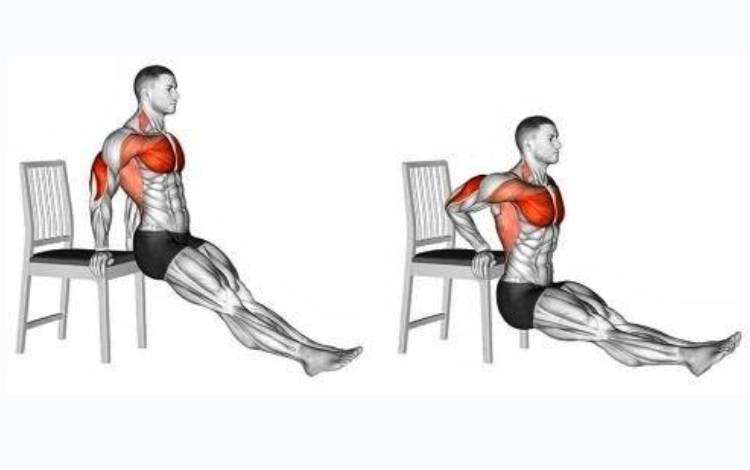 Tricep dips and Pushups