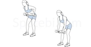 Bent-Over Two-Dumbbell Row