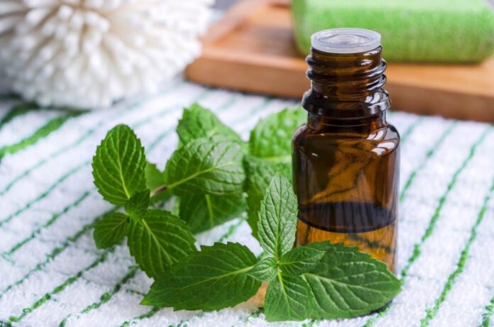 Does Spearmint Oil Stop Hair Growth? Everything You Need to Know