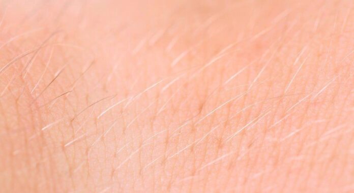 How to Make Body Hair Thinner and Lighter Naturally?