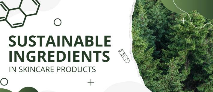 Look for Sustainable Ingredients in Skincare Products 