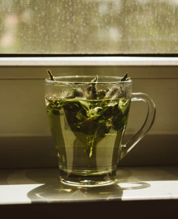 How Green Tea Benefits the Skin